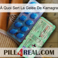 À Quoi Sert La Gelée De Kamagra new02
